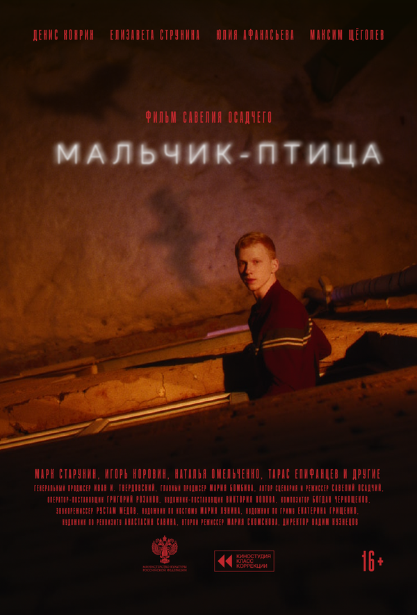 Мальчик-птица постер